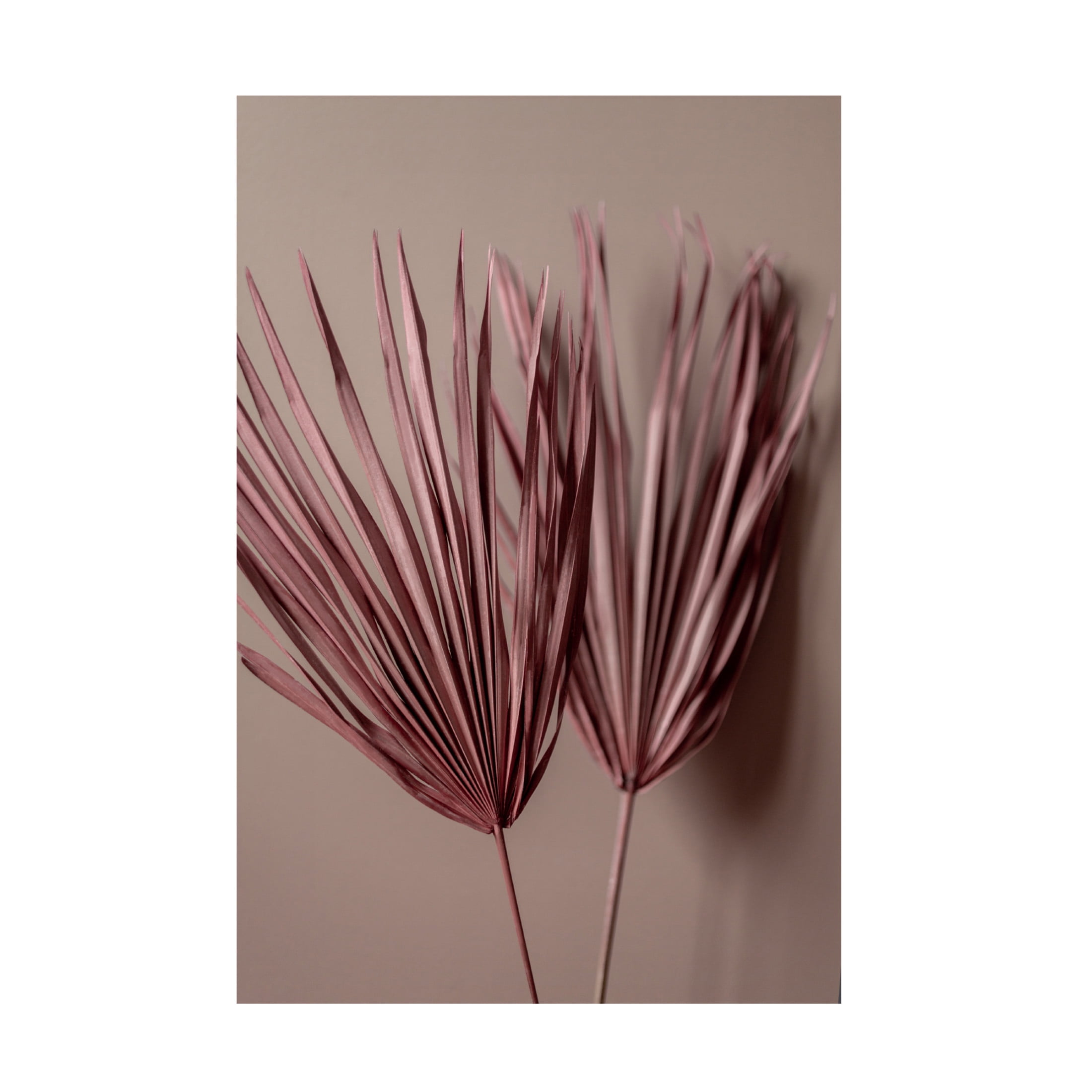 Trademark Fine Art Mareike Bohmer Last Summer 26 Canvas Wall Art