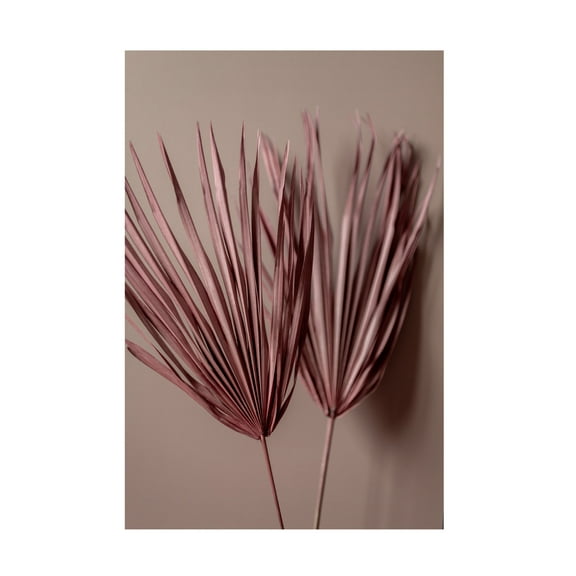 Trademark Fine Art Mareike Bohmer Last Summer 26 Canvas Wall Art