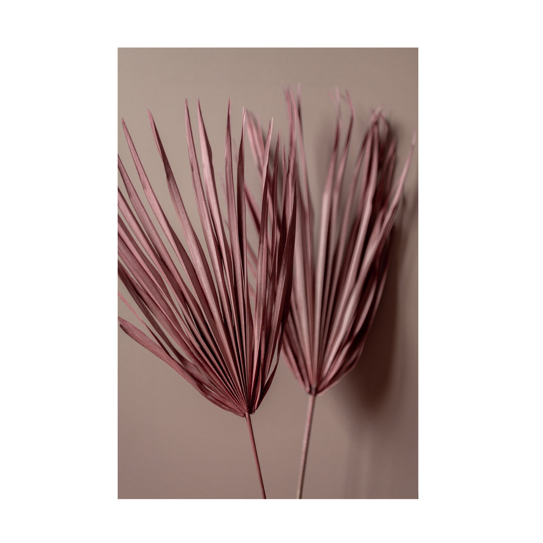 Trademark Fine Art Mareike Bohmer Last Summer 26 Canvas Wall Art