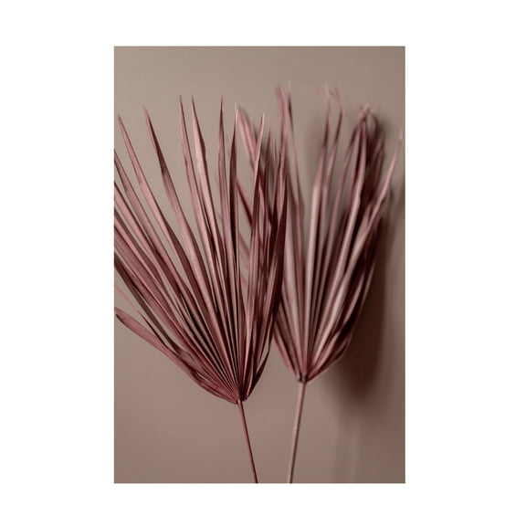 Trademark Fine Art Mareike Bohmer Last Summer 26 Canvas Wall Art