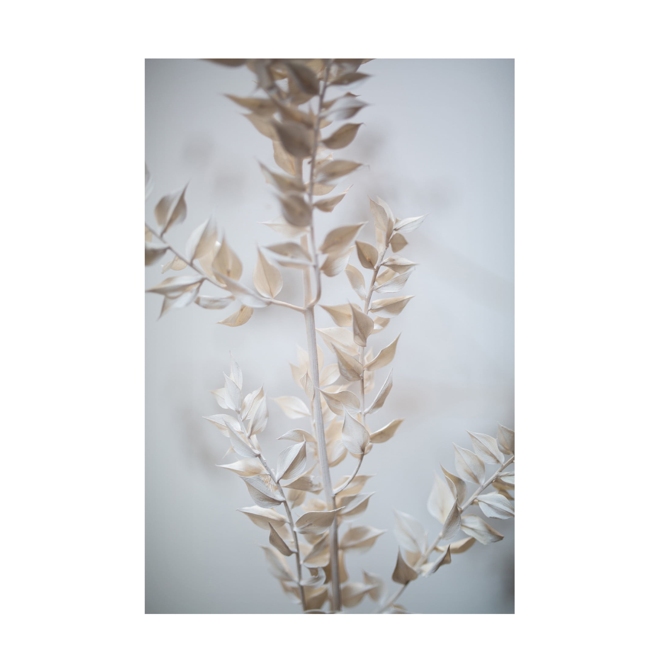 Trademark Fine Art Mareike Bohmer  Last Summer 7 Canvas Wall Art