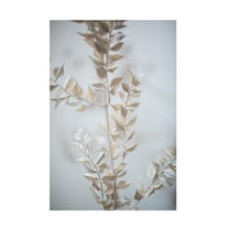 Trademark Fine Art Mareike Bohmer  Last Summer 7 Canvas Wall Art