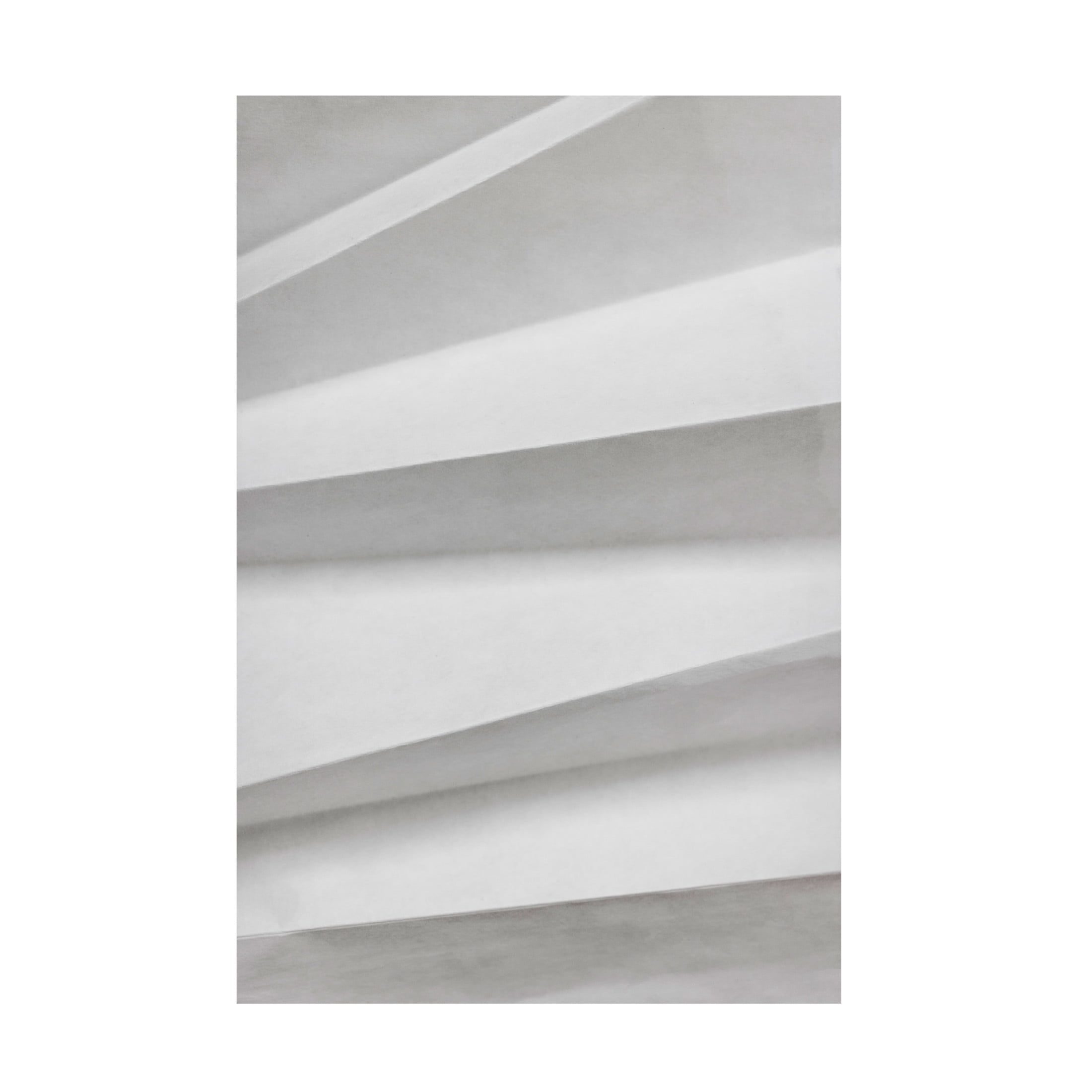 Trademark Fine Art Mareike Bohmer Paper Studies 11 Canvas Wall Art