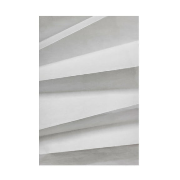 Trademark Fine Art Mareike Bohmer Paper Studies 11 Canvas Wall Art