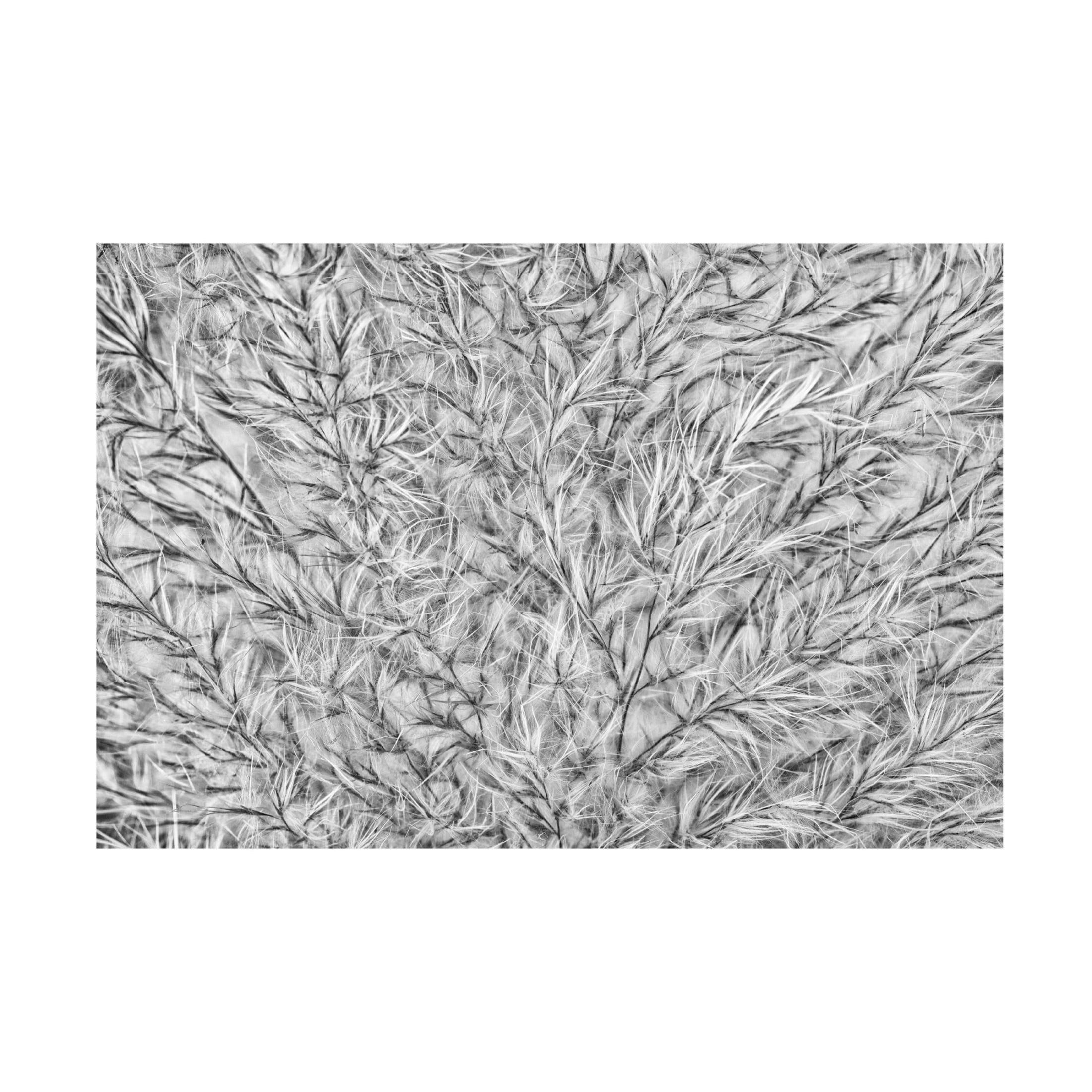 Trademark Fine Art Marie anne Stas Into the Pampas Canvas Wall Art