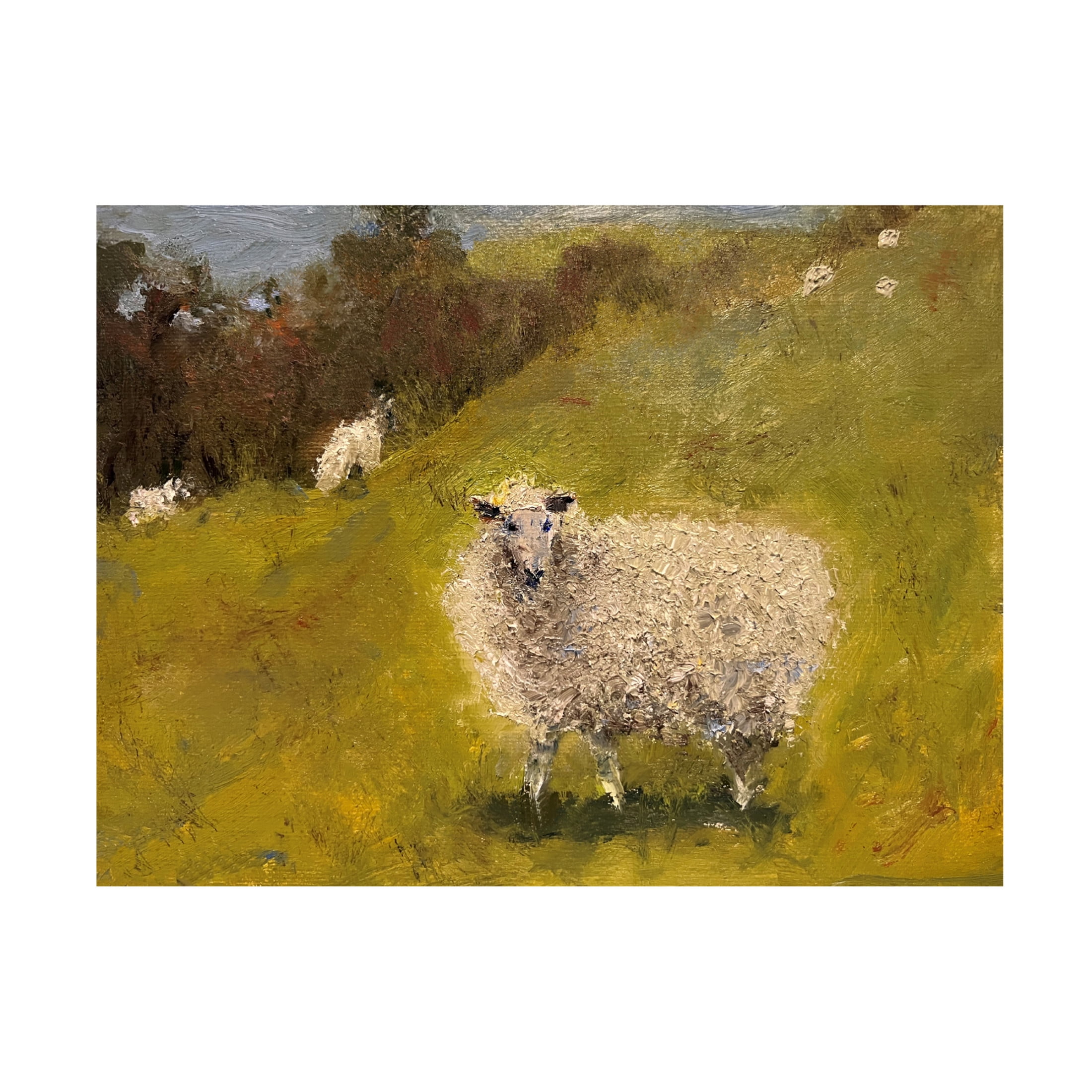 Trademark Fine Art Marilyn Wendling Sheep in Field III Canvas Wall Art