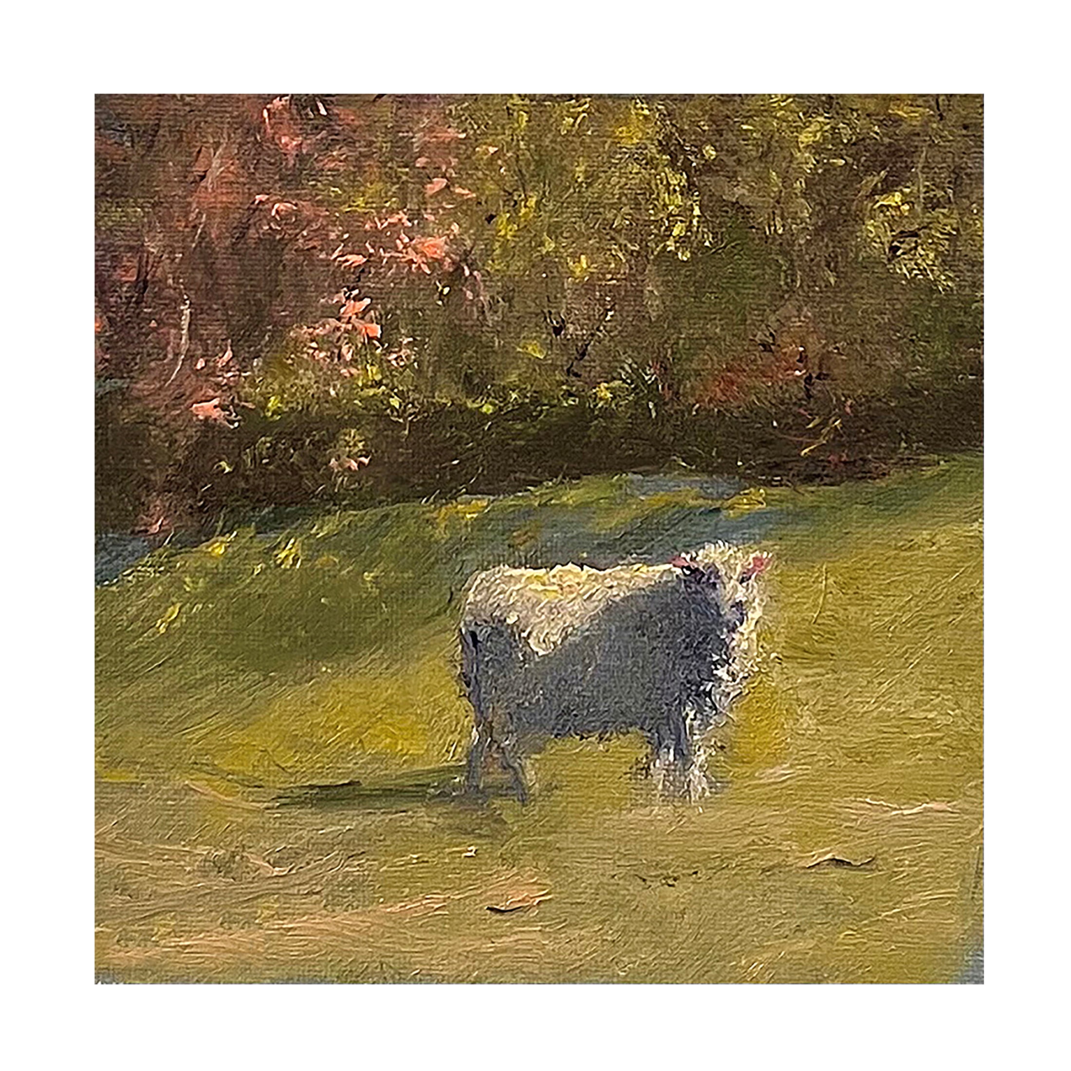 Trademark Fine Art Marilyn Wendling  Sheep in Field IV Canvas Wall Art