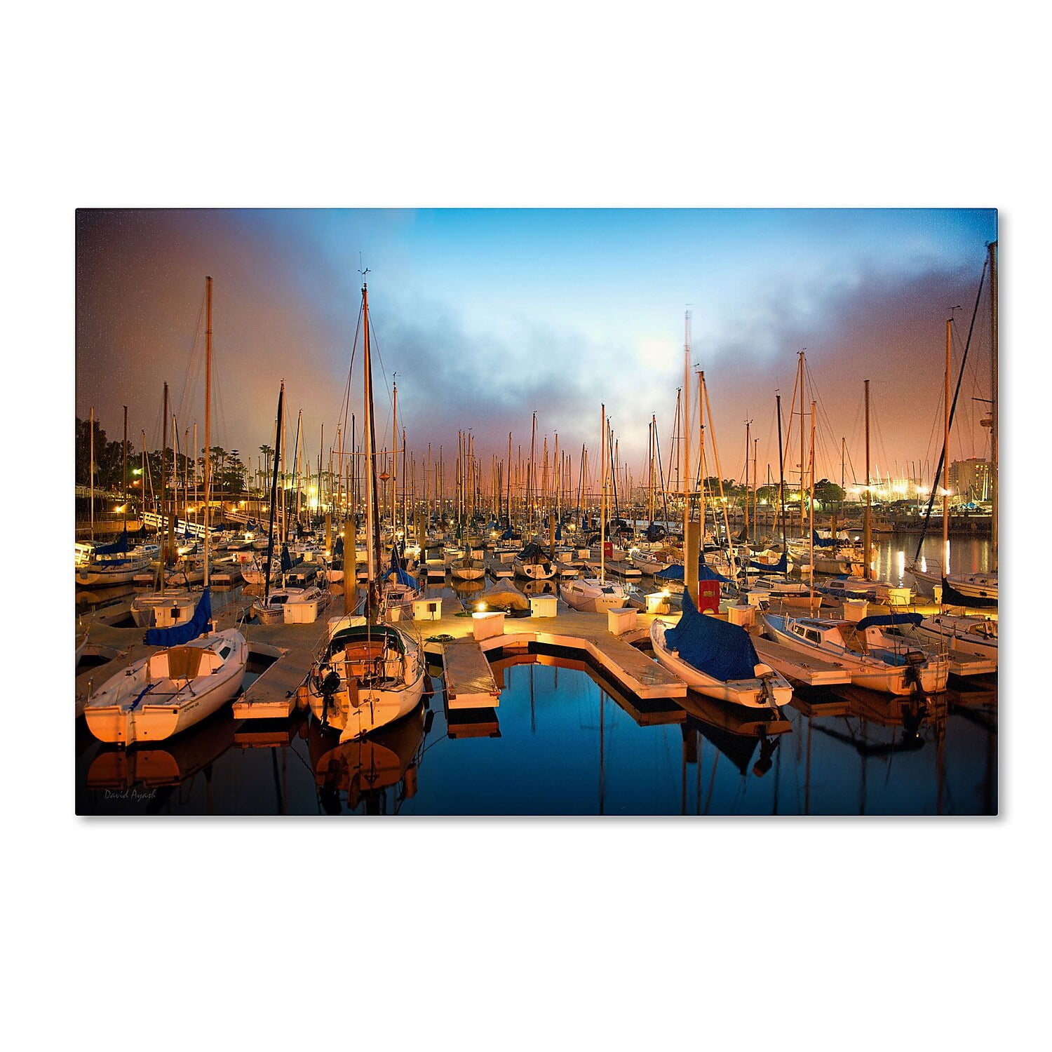 Trademark Fine Art "Marina Del Rey - Southern California" Canvas Art by David Ayash