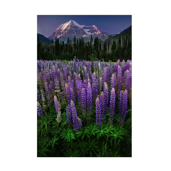Trademark Fine Art Marina Poushkina Mt Robson Canvas Wall Art