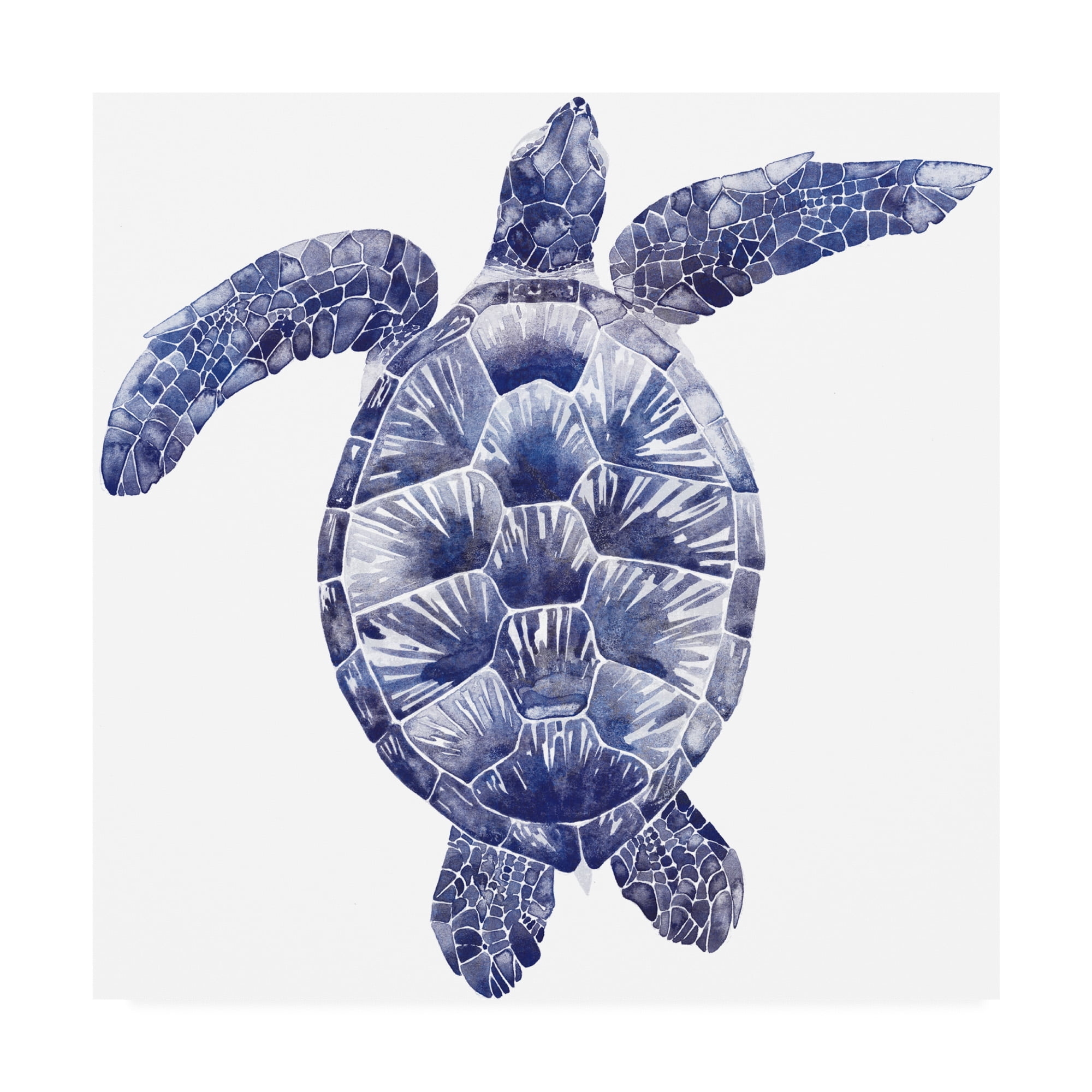 Trademark Fine Art 'Marine Turtle II' Canvas Art by Grace Popp