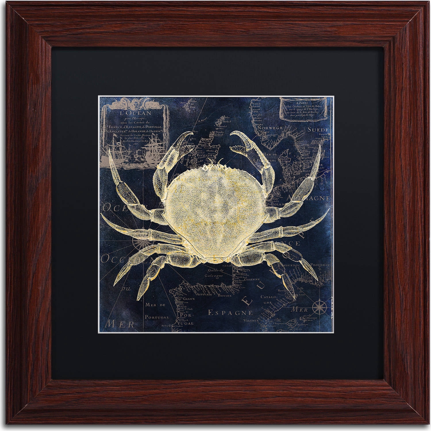 Trademark Fine Art "Maritime Blues III" Canvas Art by Color Bakery, Black Matte, Wood Frame