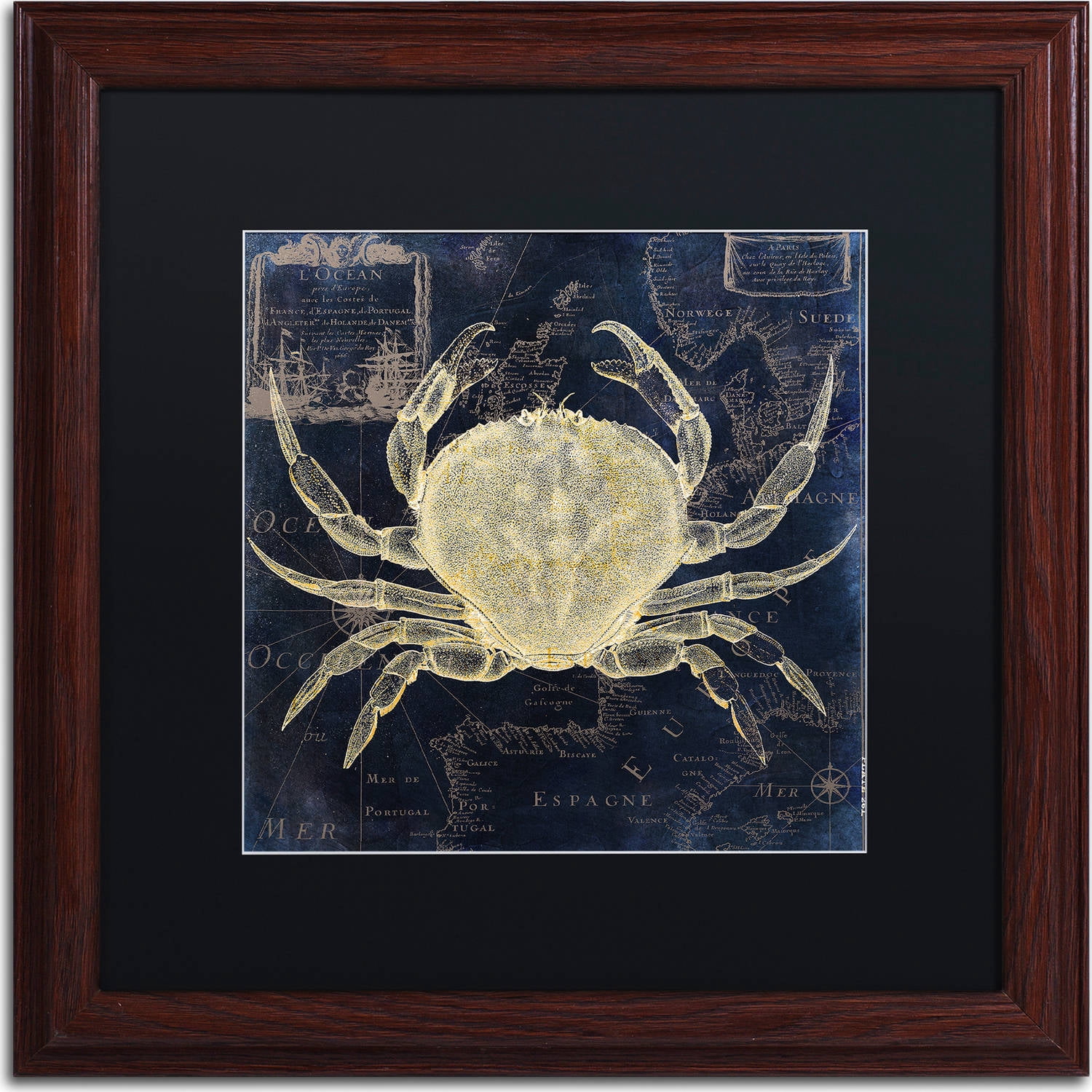 Trademark Fine Art "Maritime Blues III" Canvas Art by Color Bakery, Black Matte, Wood Frame