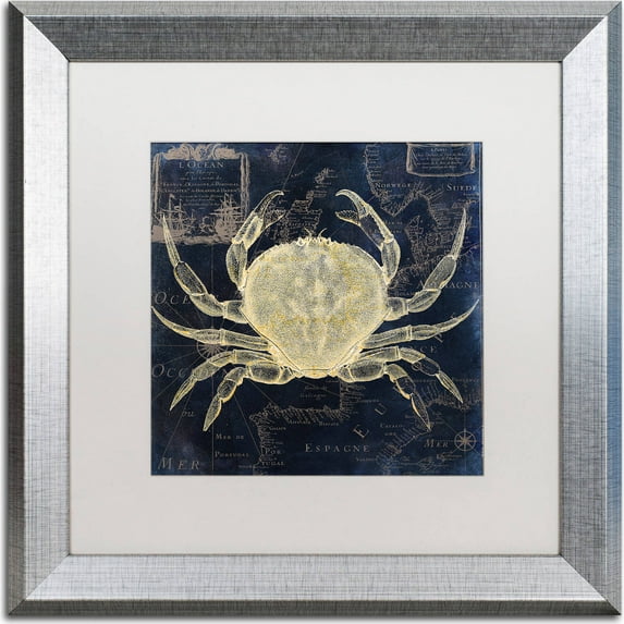 Trademark Fine Art "Maritime Blues III" Canvas Art by Color Bakery, White Matte, Silver Frame