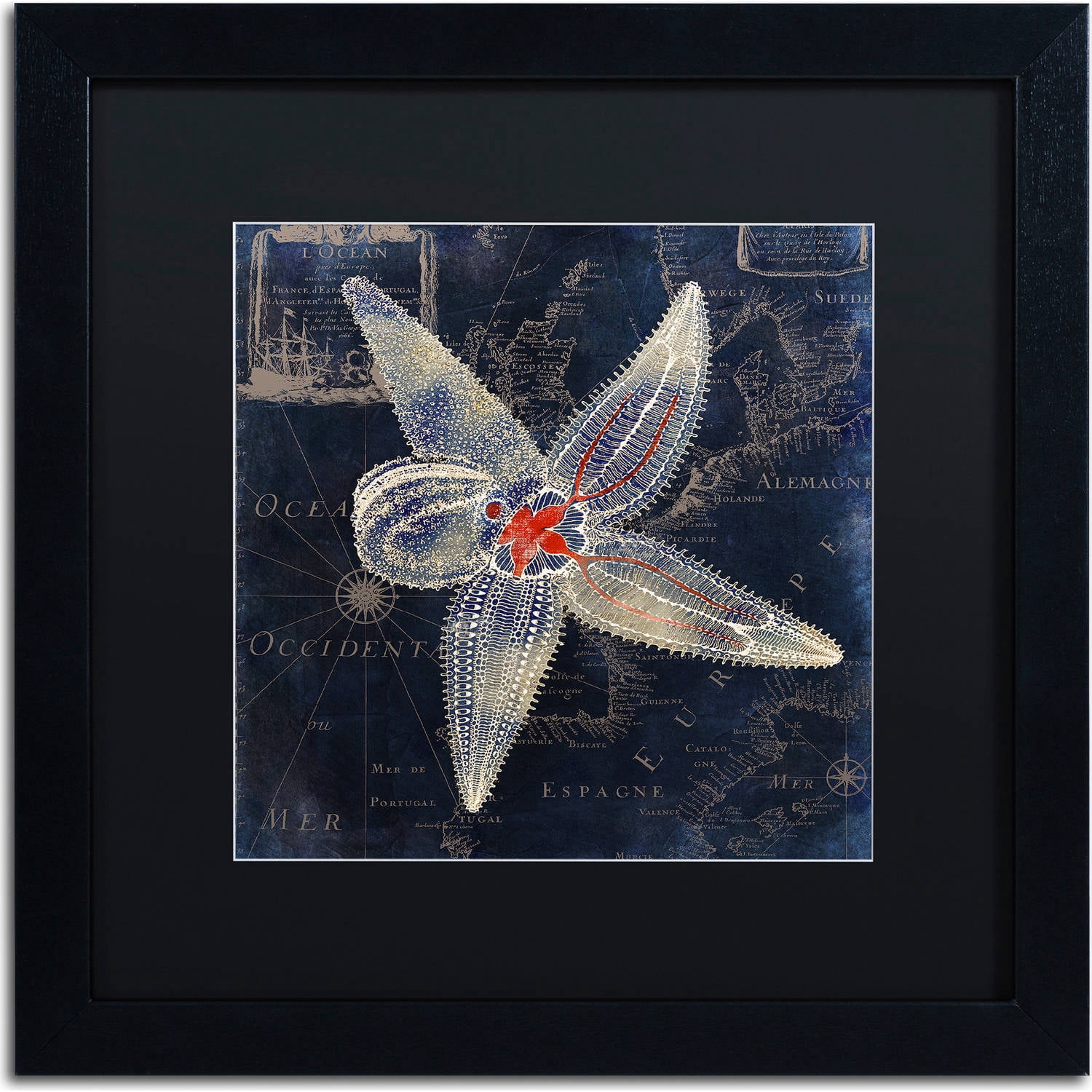 Trademark Fine Art "Maritime Blues IV" Canvas Art by Color Bakery, Black Matte, Black Frame