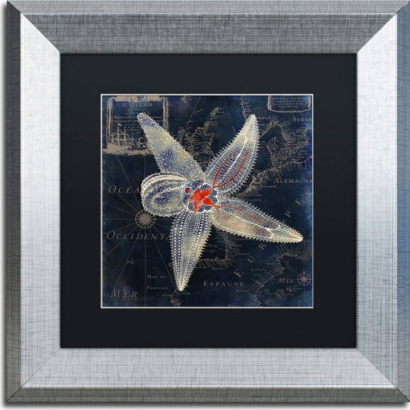 Trademark Fine Art "Maritime Blues IV" Canvas Art by Color Bakery, Black Matte, Silver Frame