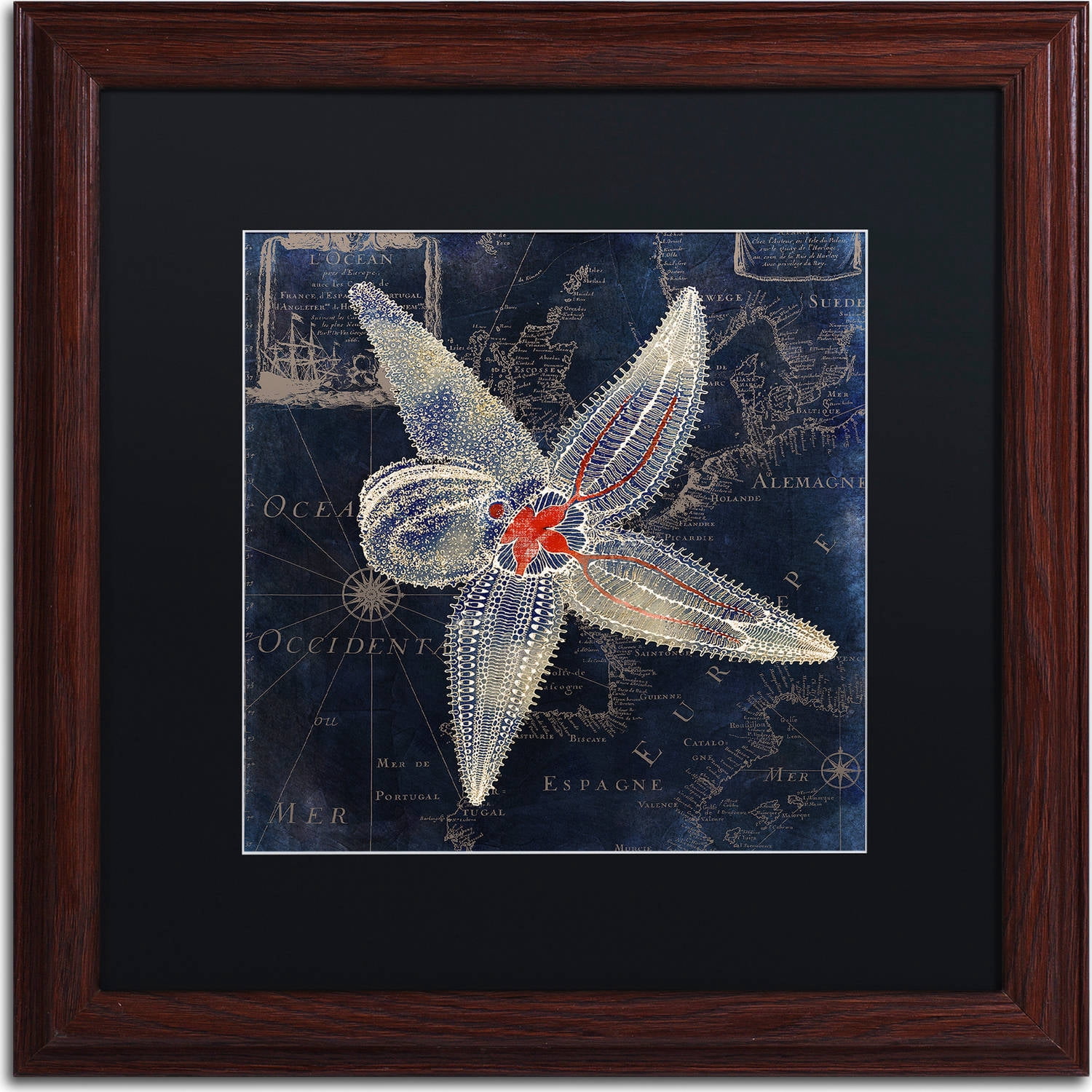 Trademark Fine Art "Maritime Blues IV" Canvas Art by Color Bakery, Black Matte, Wood Frame