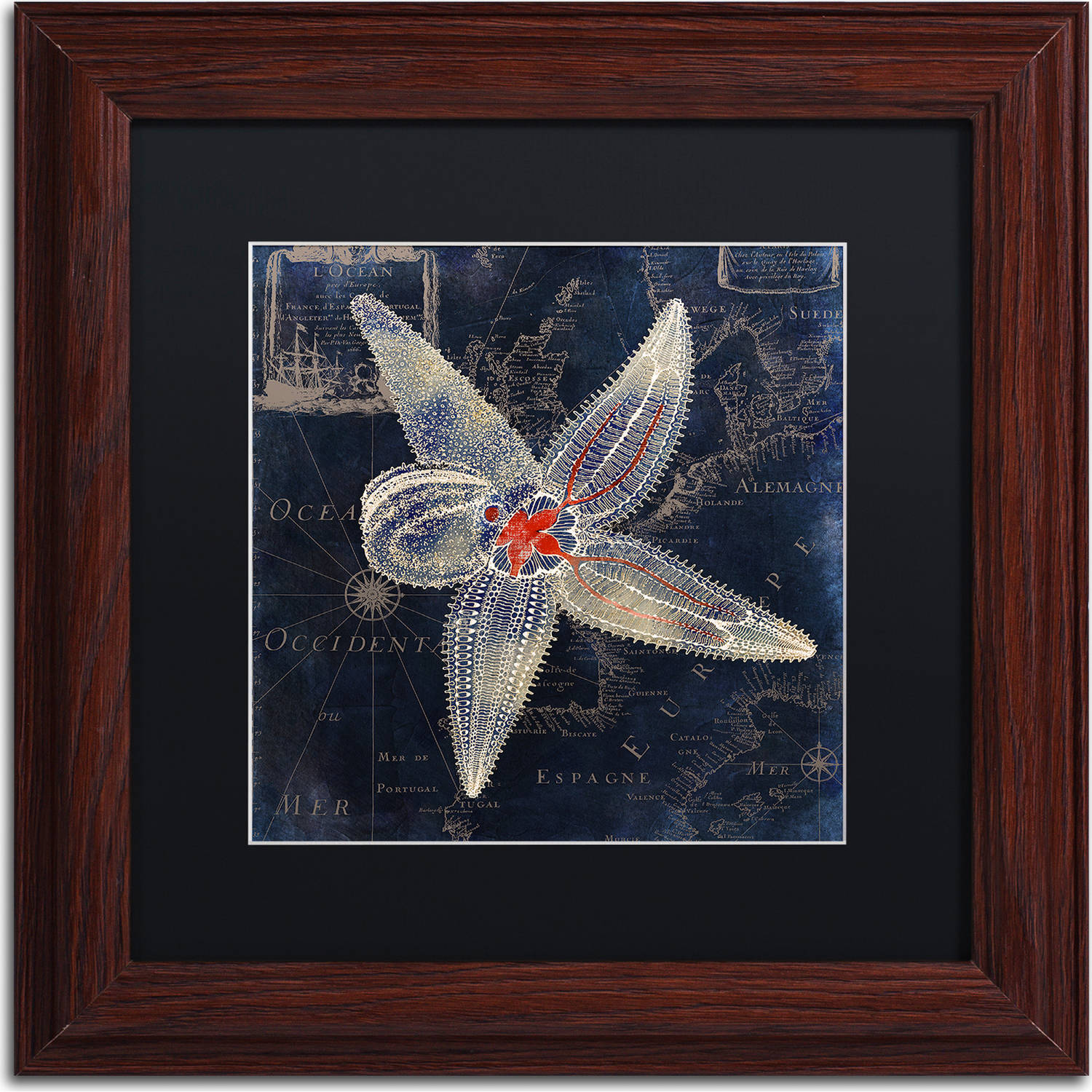 Trademark Fine Art "Maritime Blues IV" Canvas Art by Color Bakery, Black Matte, Wood Frame