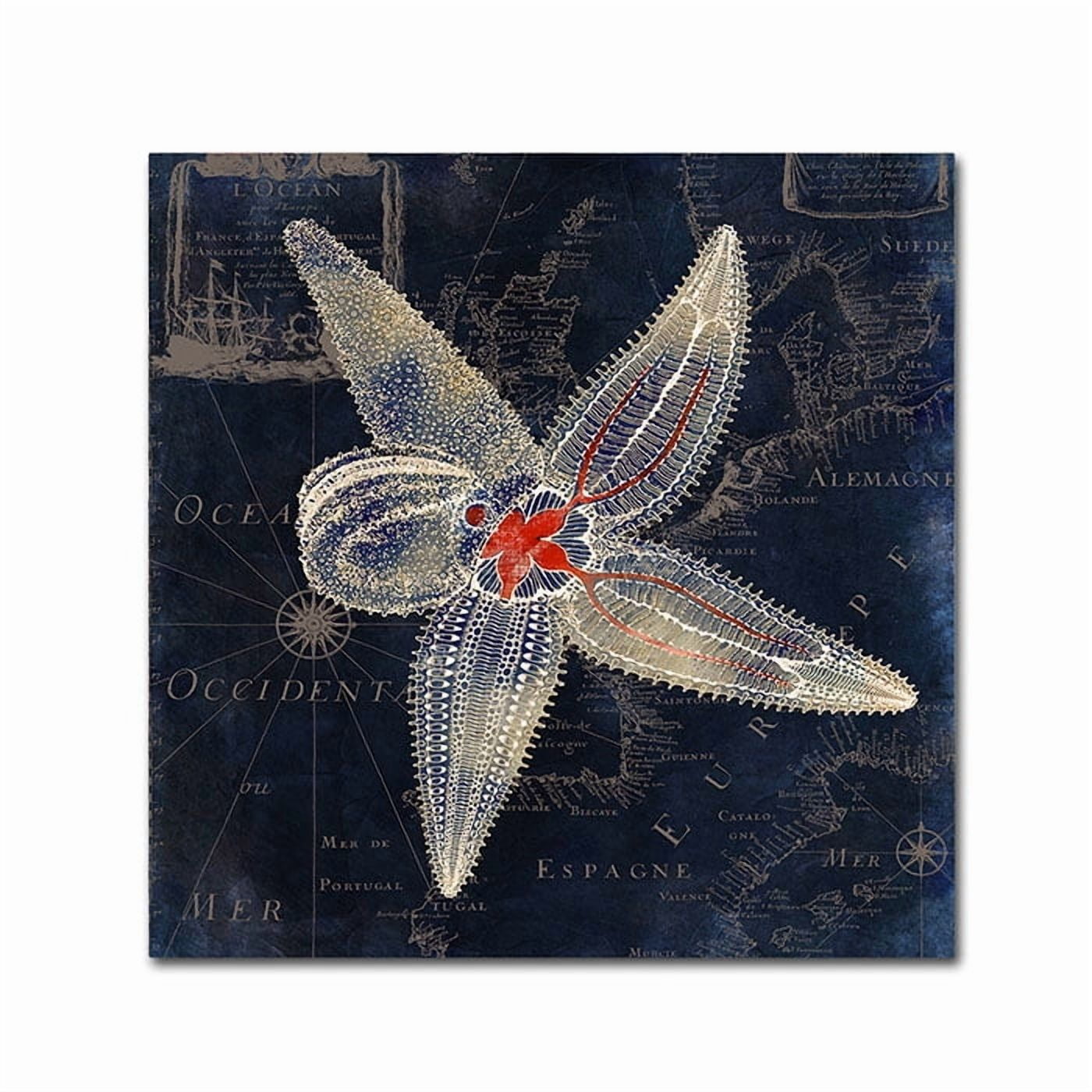 Trademark Fine Art "Maritime Blues IV" Canvas Art by Color Bakery
