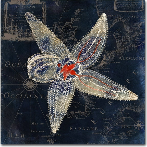 Trademark Fine Art "Maritime Blues IV" Canvas Art by Color Bakery