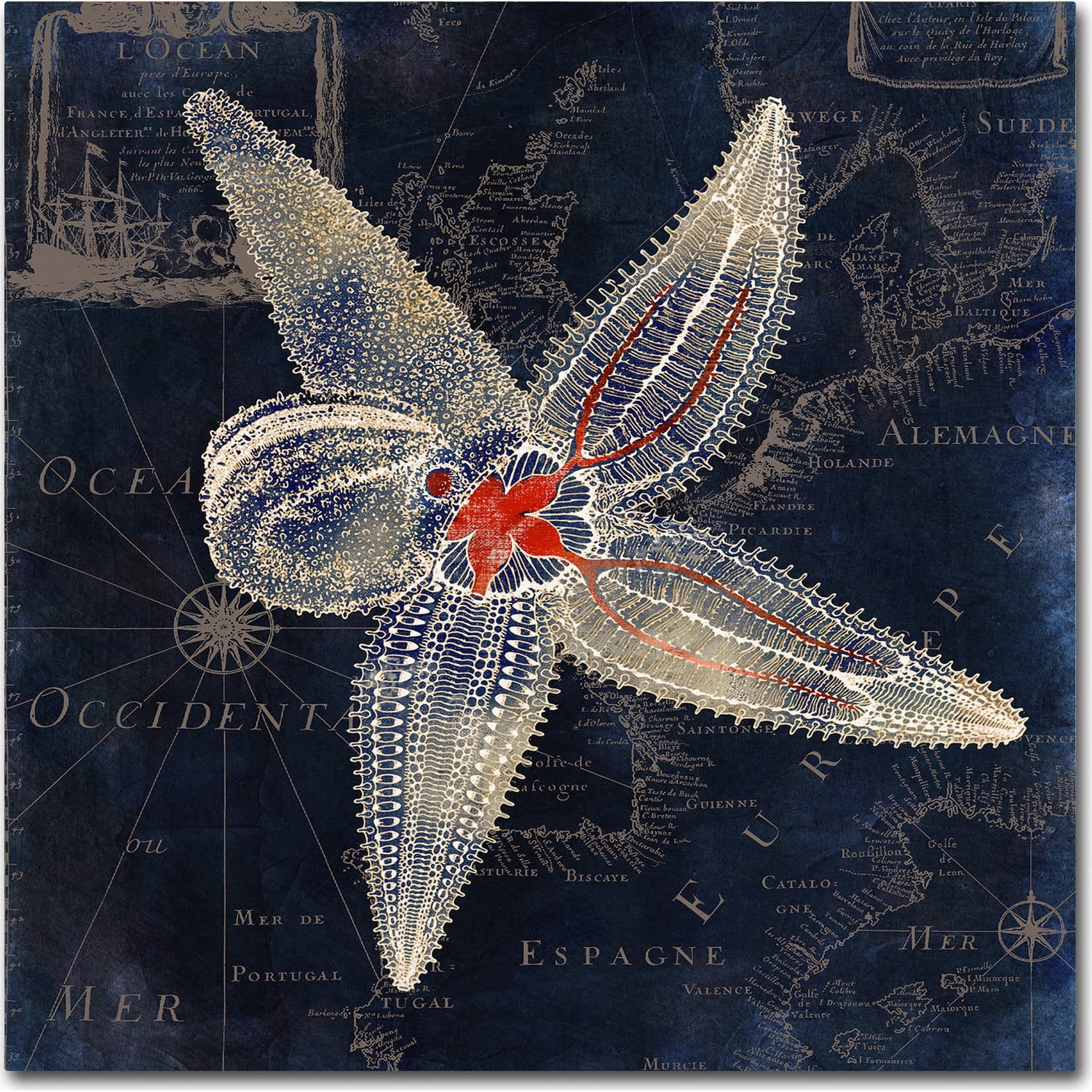 Trademark Fine Art "Maritime Blues IV" Canvas Art by Color Bakery