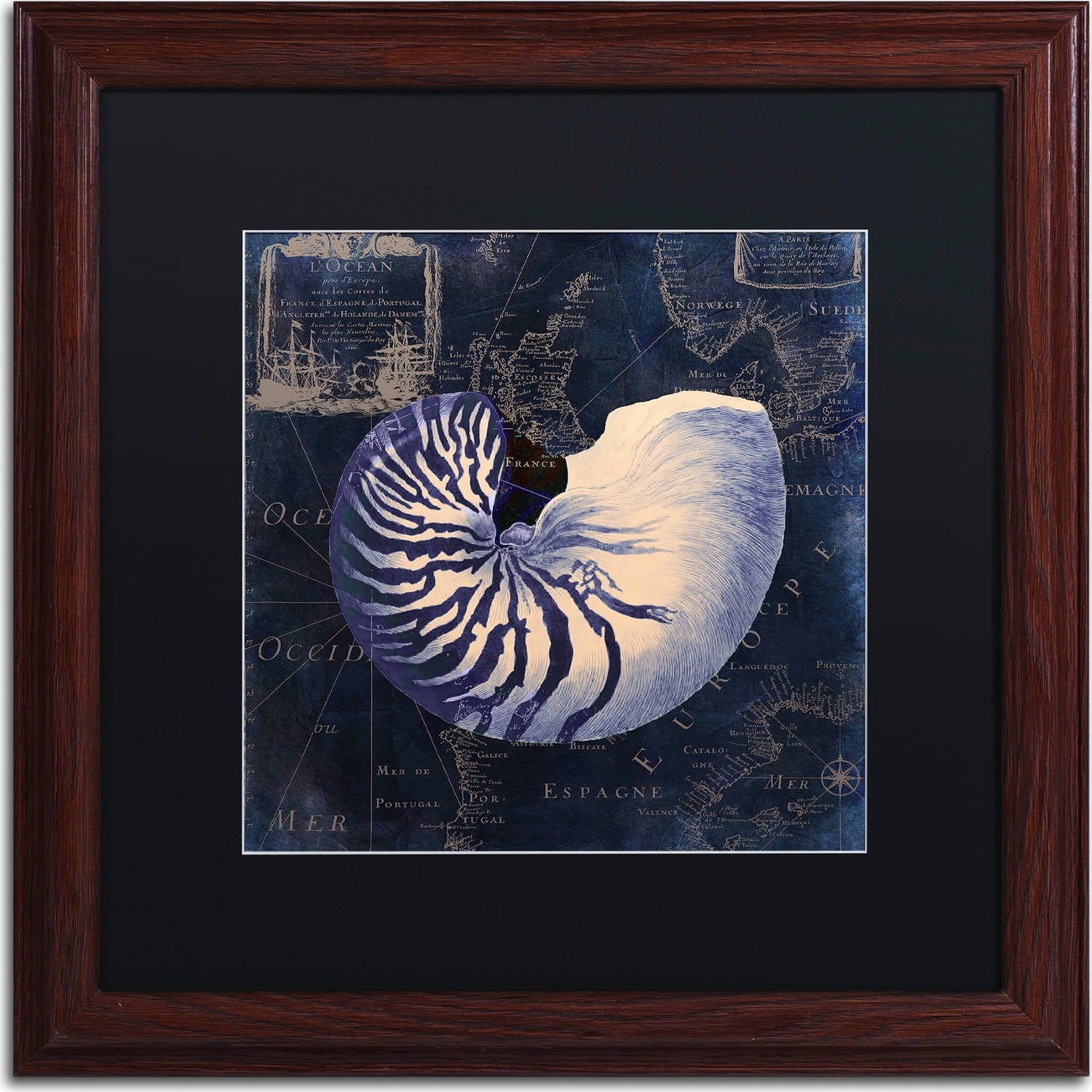 Trademark Fine Art "Maritime Blues V" Canvas Art by Color Bakery, Black Matte, Wood Frame