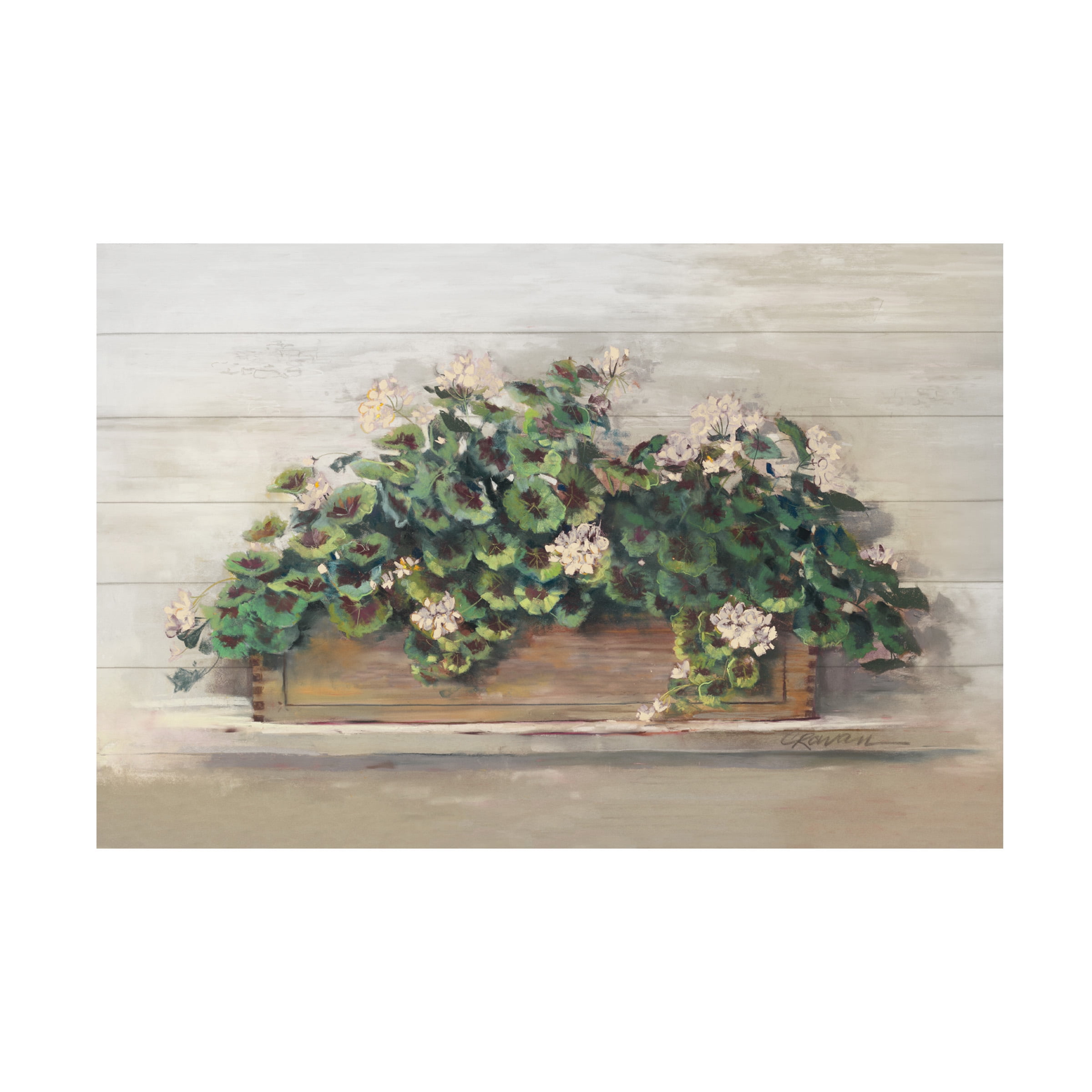 Trademark Fine Art 'Market Geraniums Crop' Canvas Art by Carol Rowan