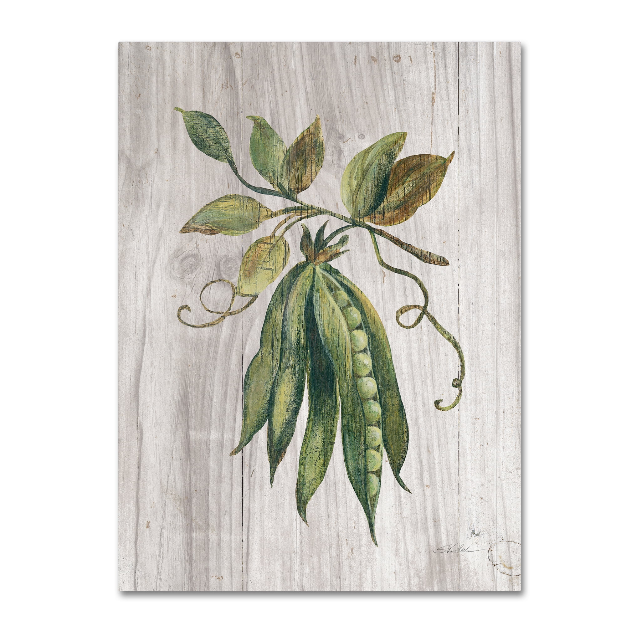 Trademark Fine Art 'Market Vegetables II' Canvas Art by Silvia Vassileva