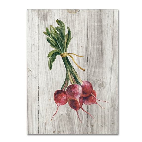 Trademark Fine Art 'Market Vegetables III' Canvas Art by Silvia Vassileva