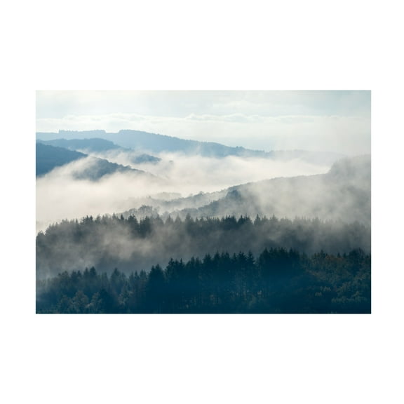 Trademark Fine Art Marleen Wijnen Early Morning At Morvan Canvas Wall Art