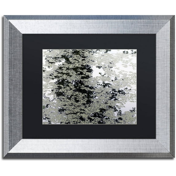 Trademark Fine Art "Marsh Abstract" Canvas Art by Kurt Shaffer, Black Matte, Silver Frame