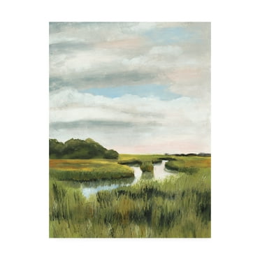 Trademark Fine Art 'Marsh Landscapes I' Canvas Art by Naomi McCavitt