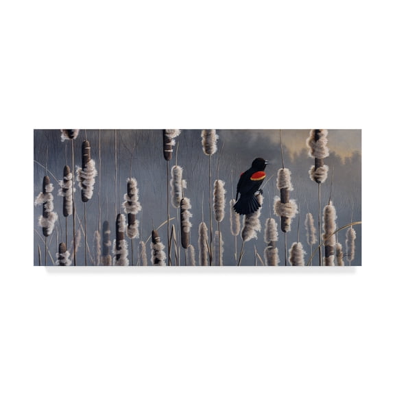 Trademark Fine Art 'Marsh Notes Red Wing Blackbird' Canvas Art by Wilhelm Goebel