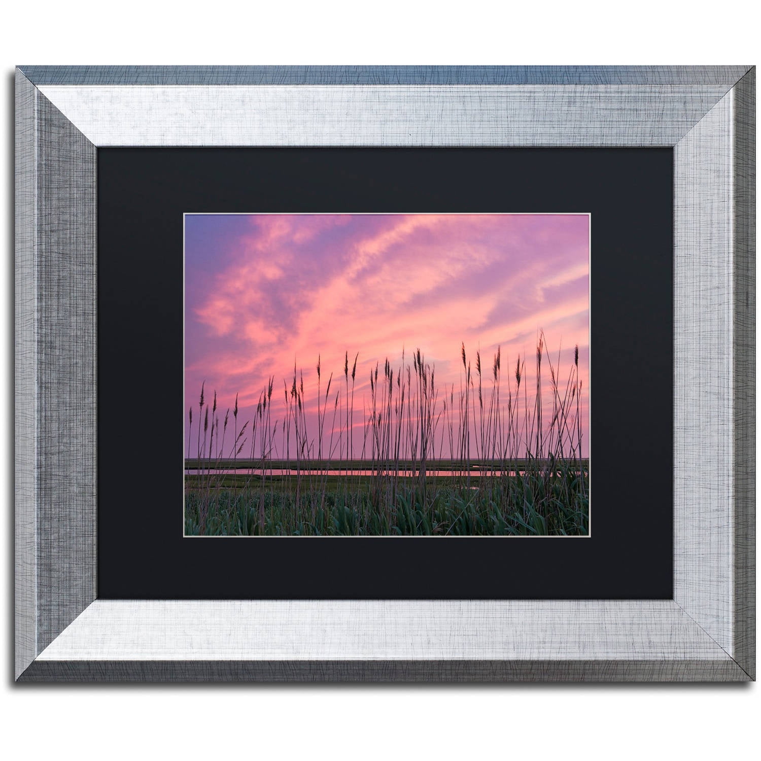 Trademark Fine Art "Marsh Reeds" Canvas Art by Michael Blanchette Photography Black Matte, Silver Frame