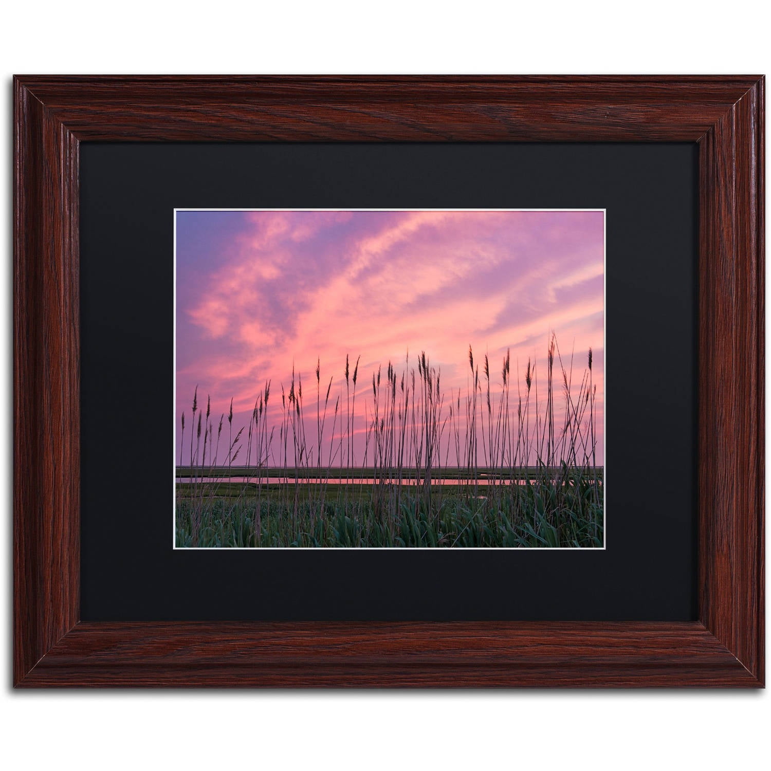 Trademark Fine Art "Marsh Reeds" Canvas Art by Michael Blanchette Photography Black Matte, Wood Frame