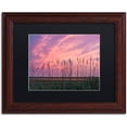 thumbnail image 1 of Trademark Fine Art "Marsh Reeds" Canvas Art by Michael Blanchette Photography Black Matte, Wood Frame, 1 of 1
