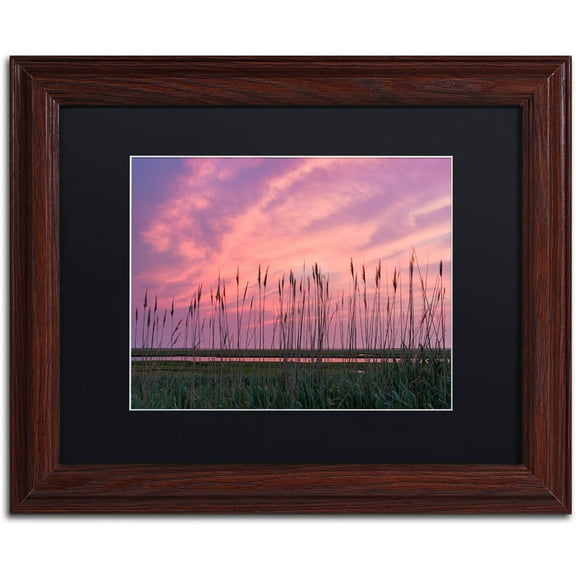 Trademark Fine Art "Marsh Reeds" Canvas Art by Michael Blanchette Photography Black Matte, Wood Frame