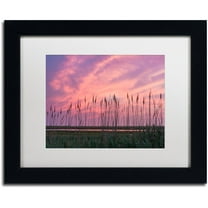 Trademark Fine Art "Marsh Reeds" Canvas Art by Michael Blanchette Photography White Matte, Black Frame