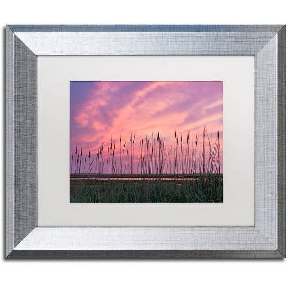 Trademark Fine Art "Marsh Reeds" Canvas Art by Michael Blanchette Photography White Matte, Silver Frame