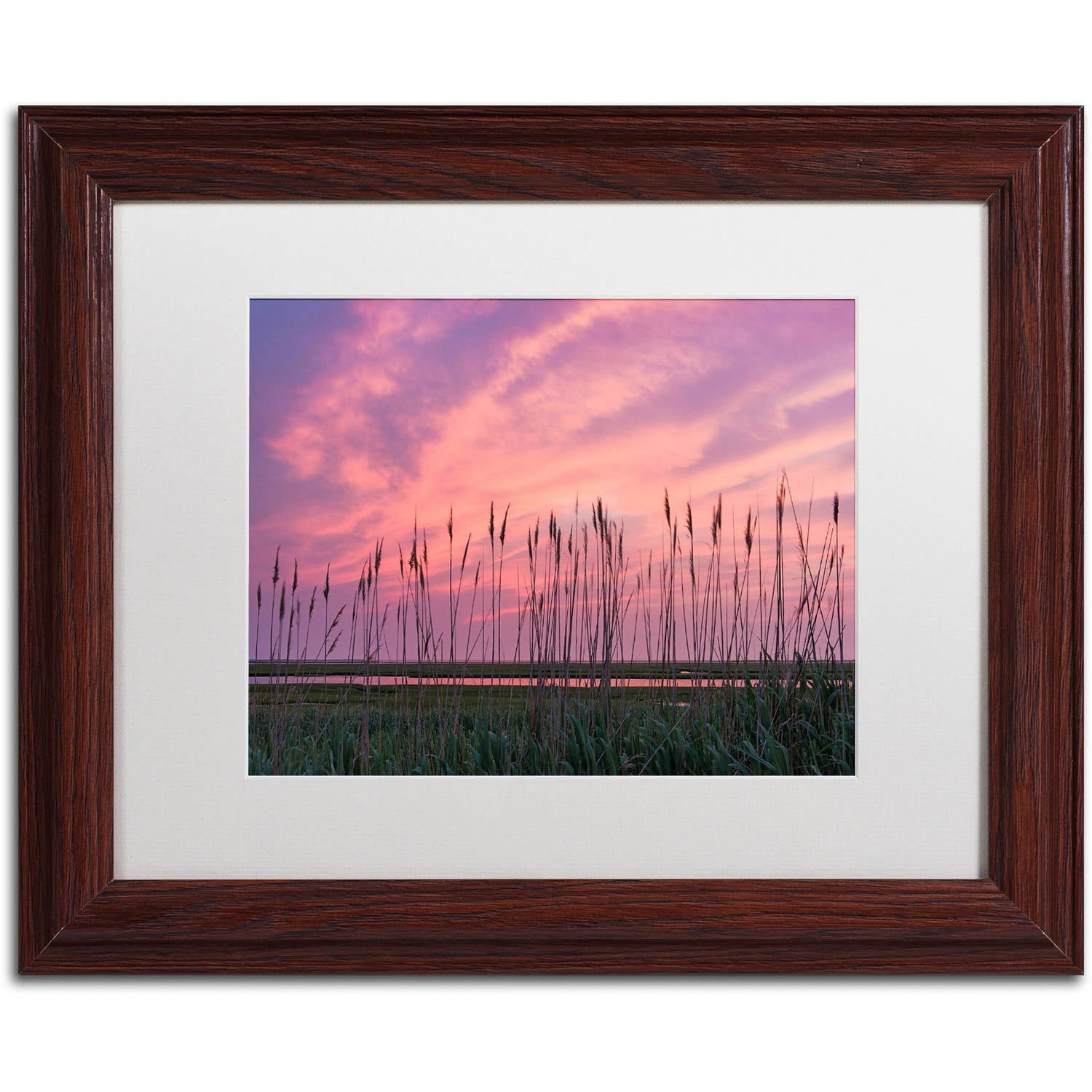 Trademark Fine Art "Marsh Reeds" Canvas Art by Michael Blanchette Photography White Matte, Wood Frame