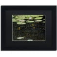 thumbnail image 1 of Trademark Fine Art "Marsh Reflections" Canvas Art by Kurt Shaffer, Black Matte, Black Frame, 1 of 4