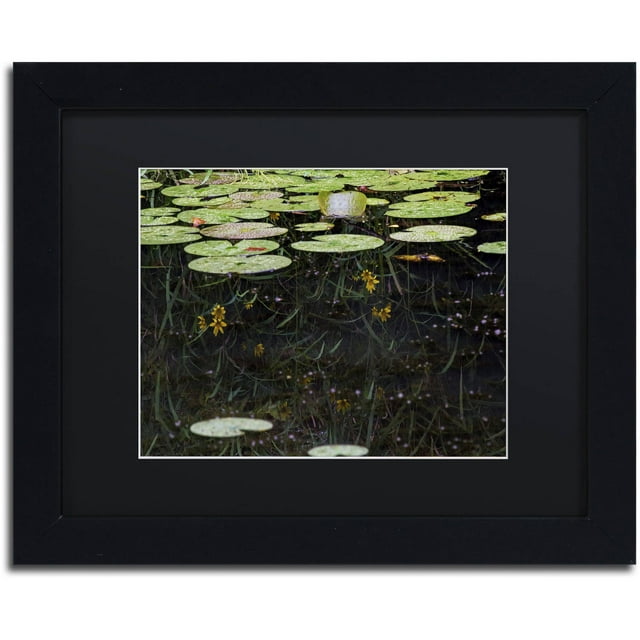 Trademark Fine Art "Marsh Reflections" Canvas Art by Kurt Shaffer, Black Matte, Black Frame