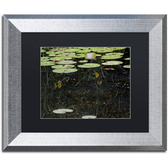 Trademark Fine Art "Marsh Reflections" Canvas Art by Kurt Shaffer, Black Matte, Silver Frame