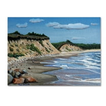 Trademark Fine Art 'Martha Vinyard' Canvas Art by Paul Walsh
