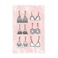 thumbnail image 1 of Trademark Fine Art Martina   Pink Underwear Canvas Wall Art, 1 of 4