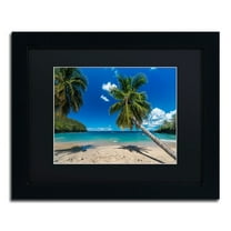 Trademark Fine Art "Martinique" Canvas Art by Mathieu Rivrin, Black Matte, Black Frame