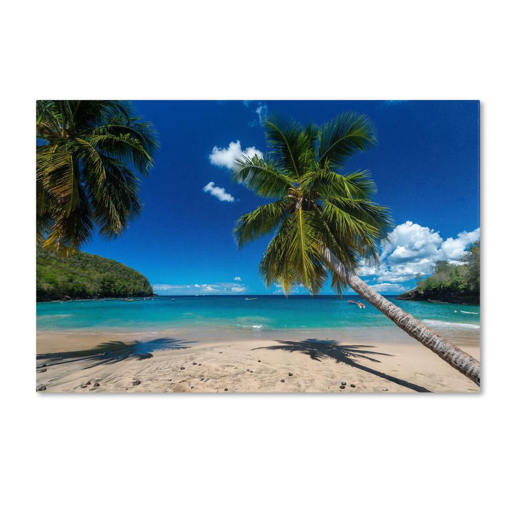 Trademark Fine Art "Martinique" Canvas Art by Mathieu Rivrin
