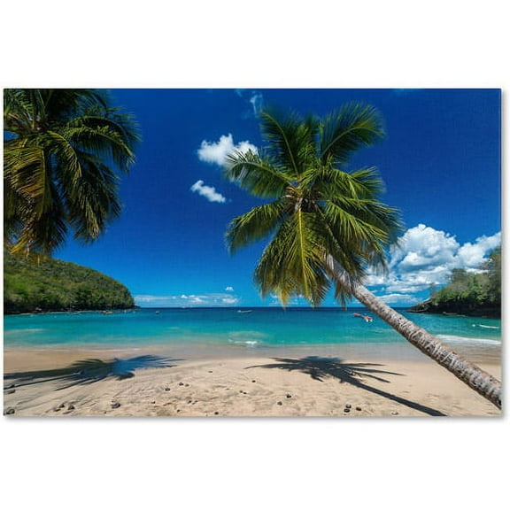 Trademark Fine Art "Martinique" Canvas Art by Mathieu Rivrin