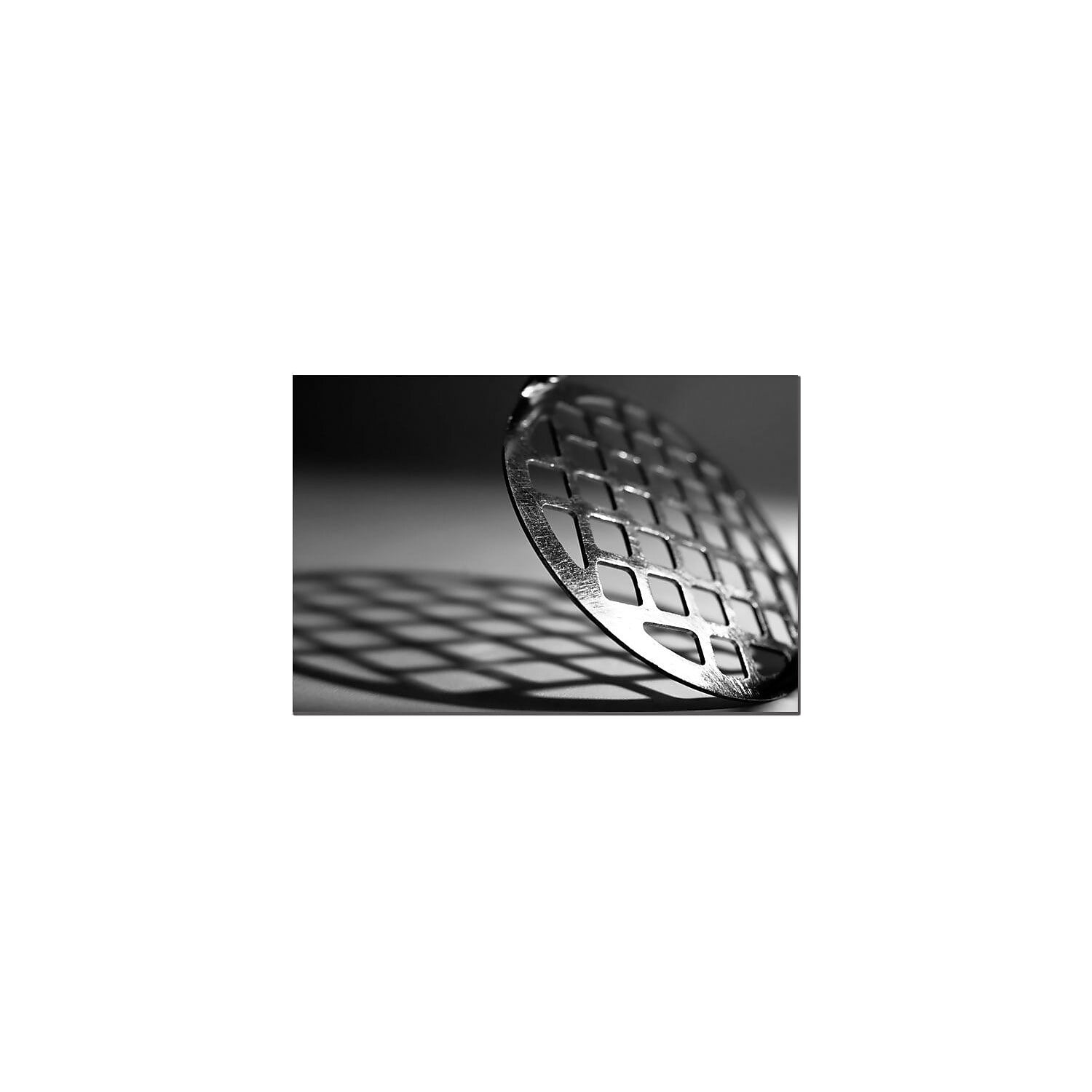 Trademark Fine Art "Masher" Canvas Art by Tammy Davison