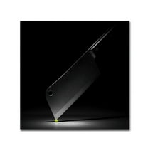 Trademark Fine Art 'Masterchef' Canvas Art by Wieteke de Kogel