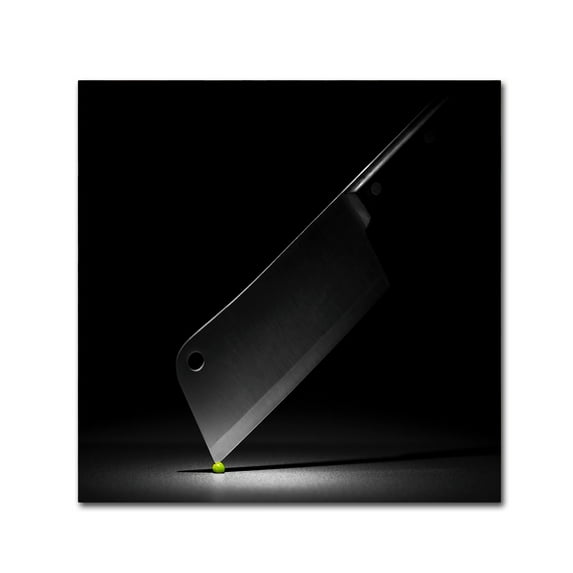 Trademark Fine Art 'Masterchef' Canvas Art by Wieteke de Kogel